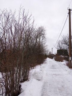 Продолжаем работу по уборке снега с территории Снт, проехать можно.Трактор заедет во все проулки по возможности 24.01.2024г.