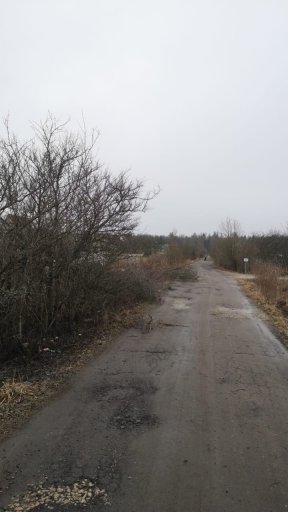 Уборка территории СНТ с учетом сезонности (спил деревьев, кустарников, удаление пней, листвы)