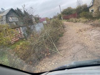 Работа кипит. Спасибо за помощь активистам-садоводам, которые работают руками, а не языком!!!23.10.2023г.