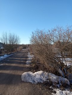 Удаление растительности продолжается 12.03.2024г.