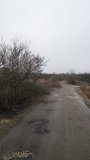  Продолжаем бороться с растительностью 27.03.2024г.