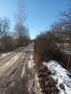 Стрижка 😁 Просьба объезжать 06.03.2024г. 