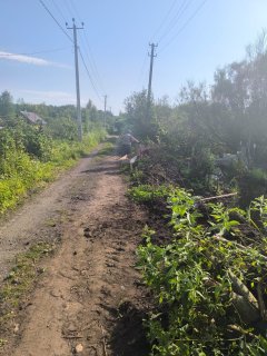 Уважаемые садоводы,спасибо Вам за помощь ❤12.07.2025г. Удаление растительности